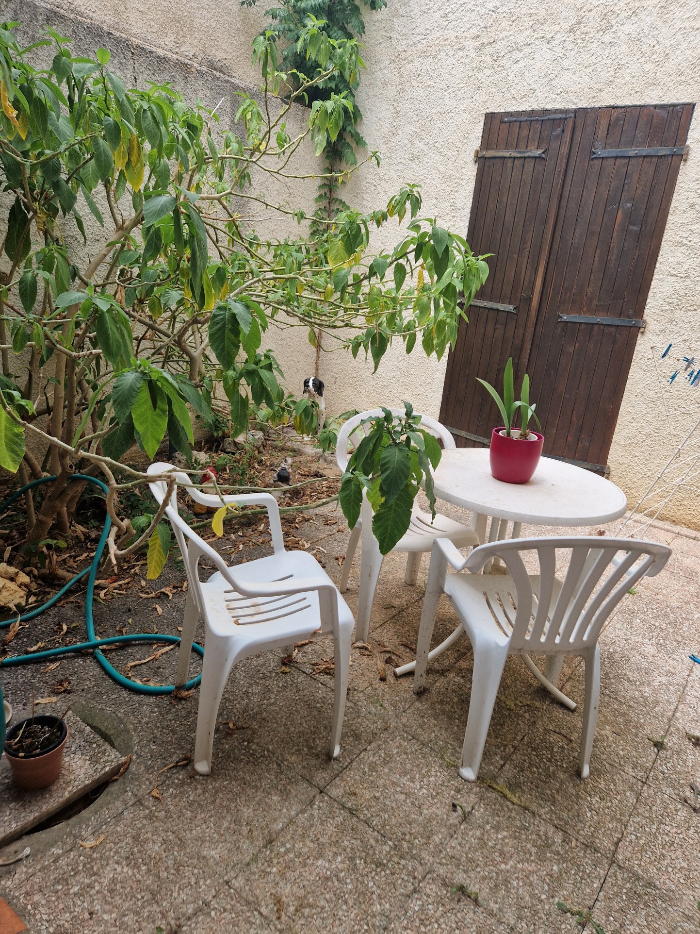 Vente Maison à Narbonne 4 pièces