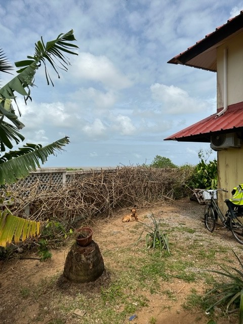 Vente Maison à Kourou 4 pièces