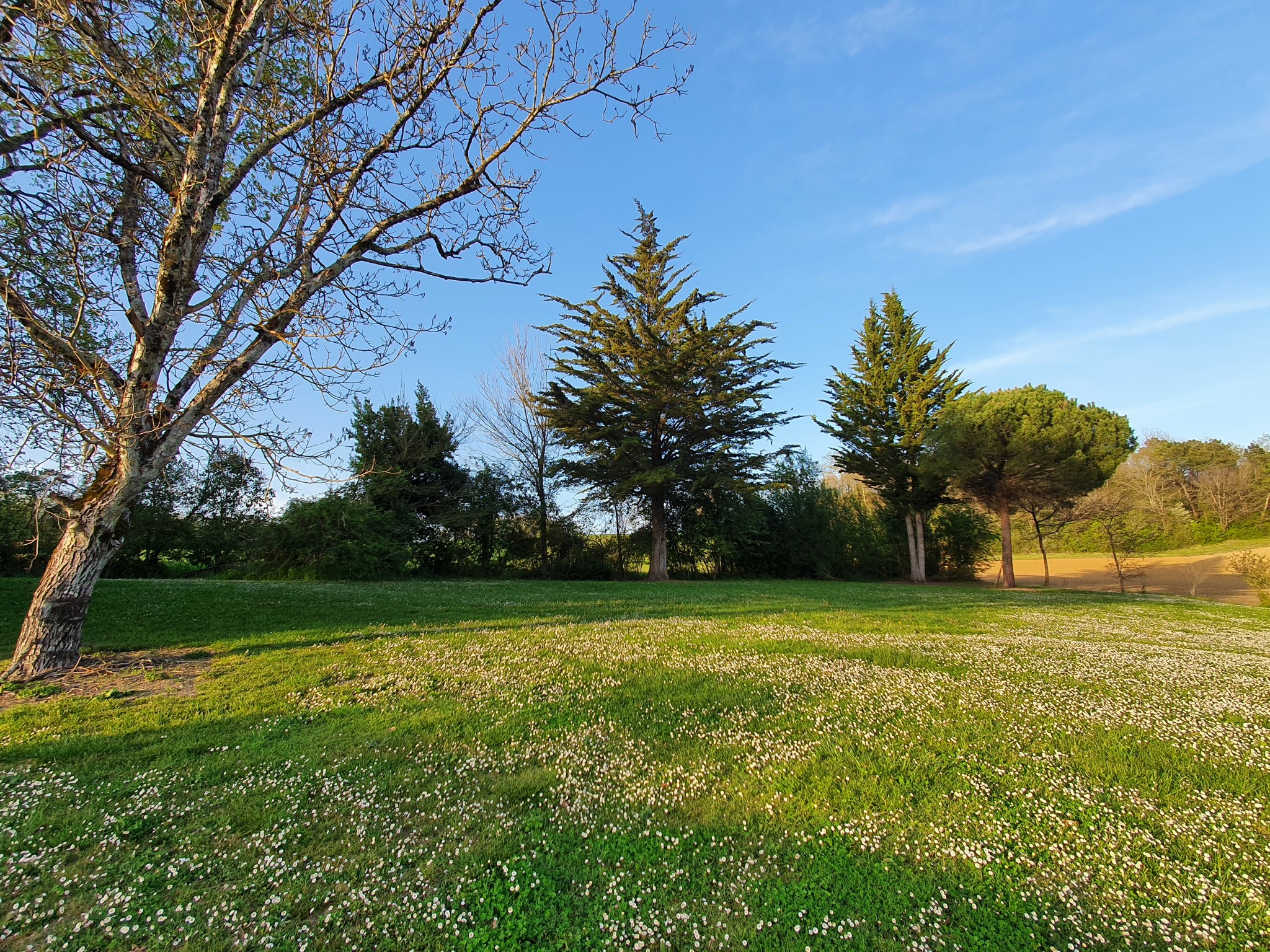 Vente Maison à Marmande 0 pièce