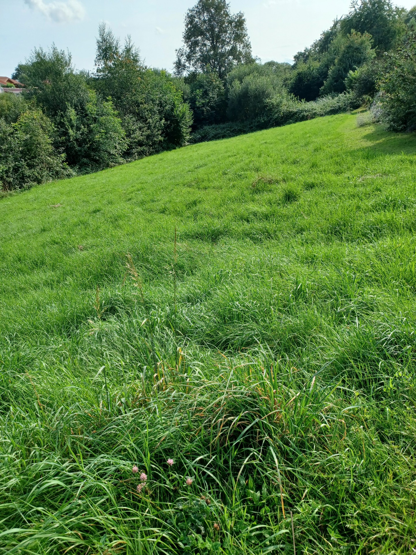 Vente Terrain à Uriménil 0 pièce