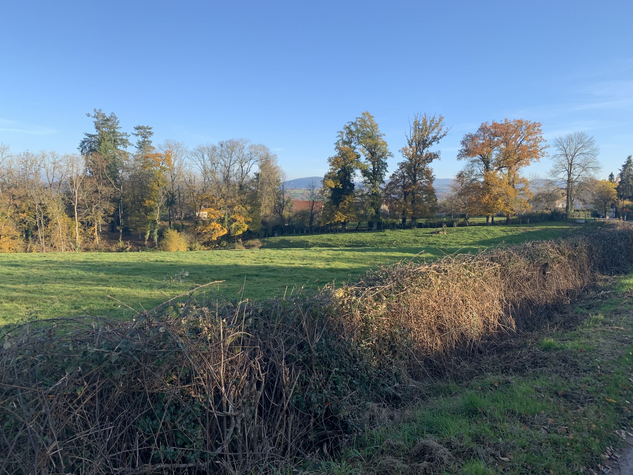 Vente Terrain à le Breuil 0 pièce