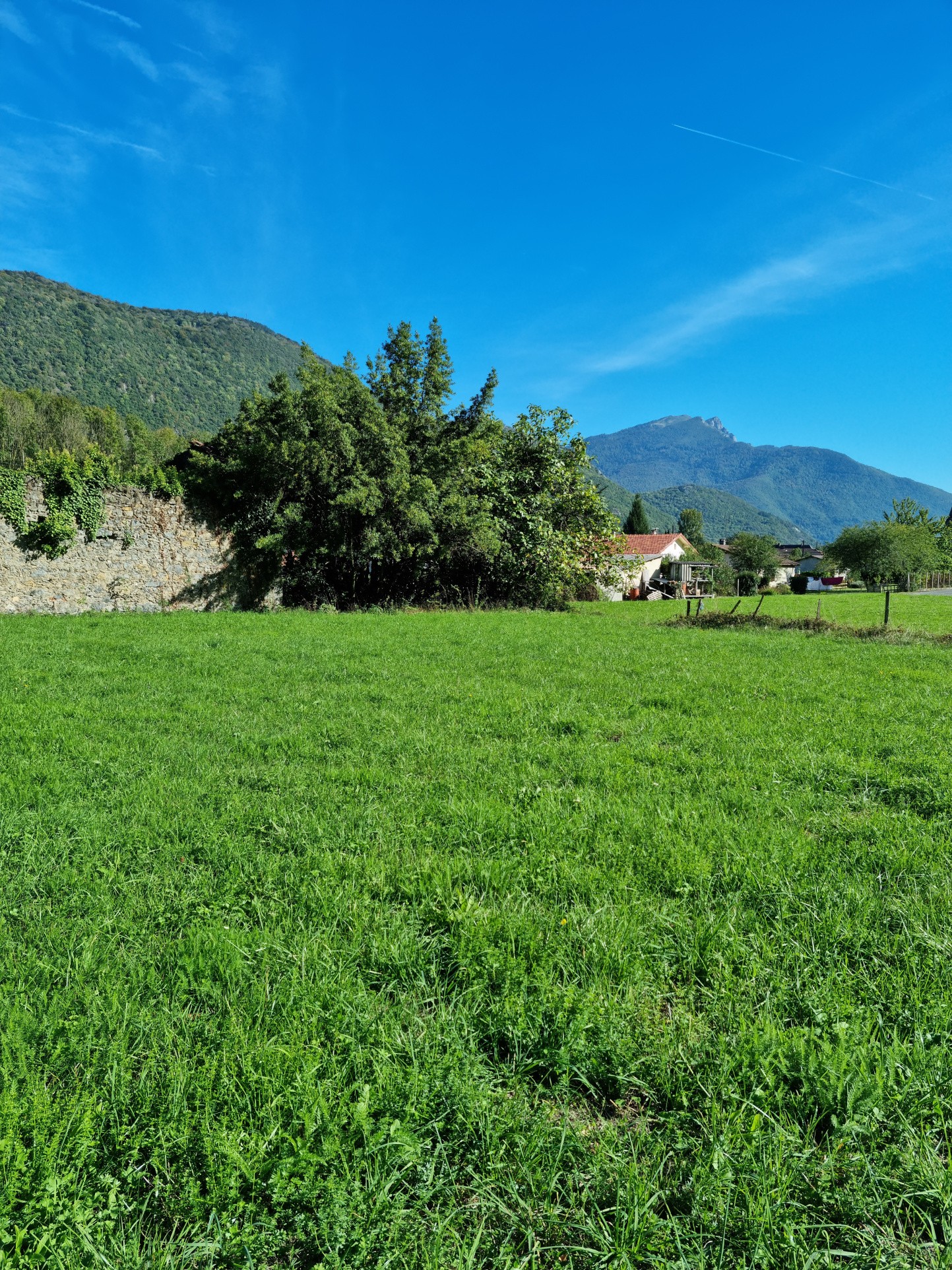 Vente Terrain à Bertren 0 pièce