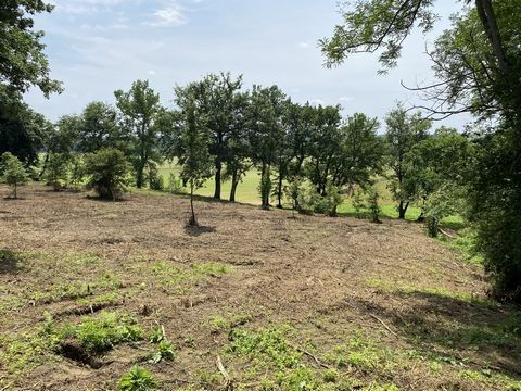 Vente Terrain à Cazaubon 0 pièce