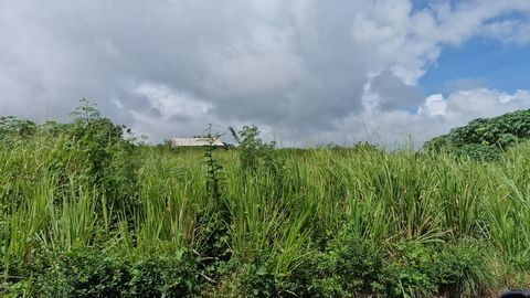 Vente Terrain à Capesterre-Belle-Eau 0 pièce