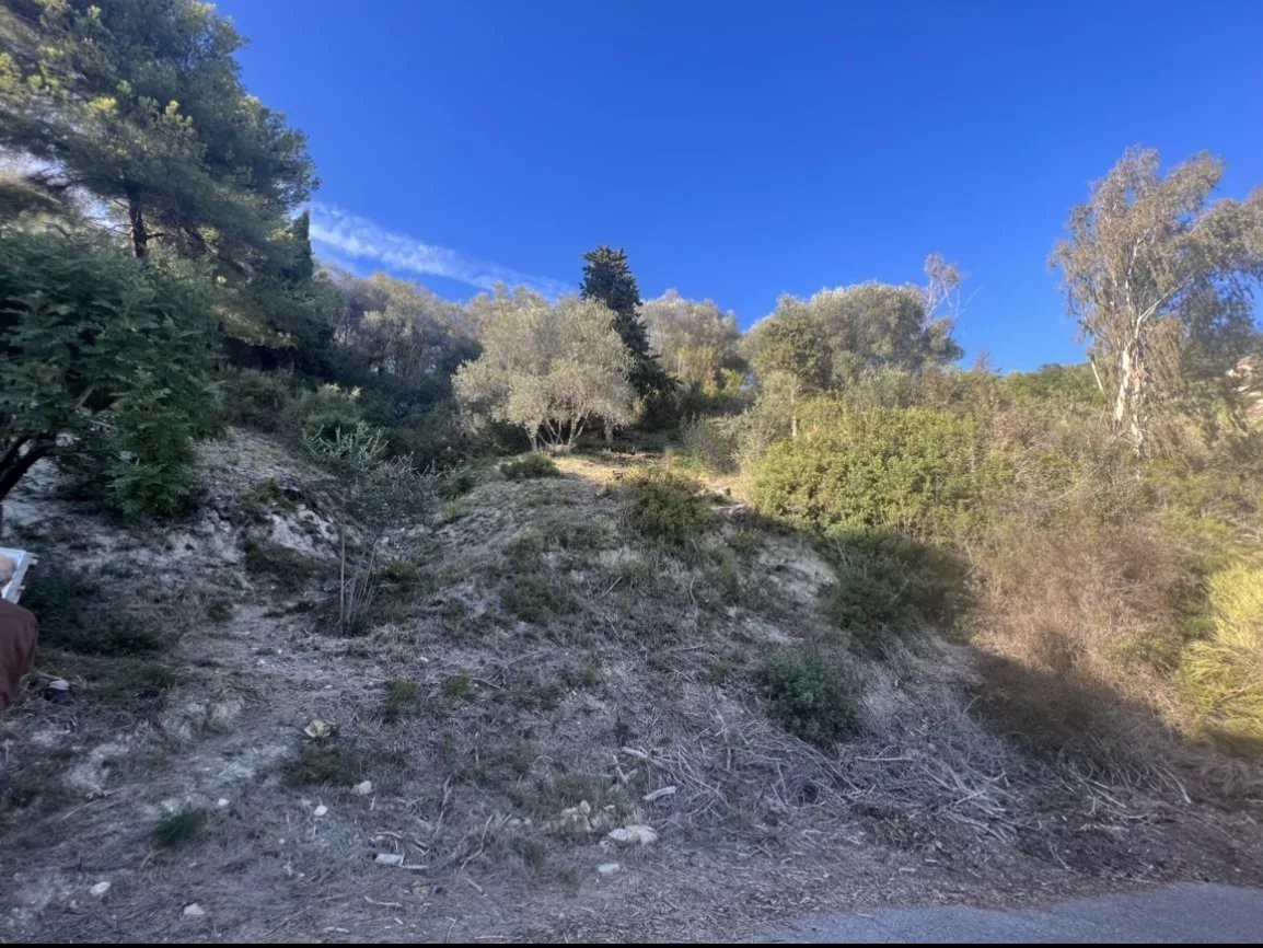 Vente Terrain à Menton 0 pièce