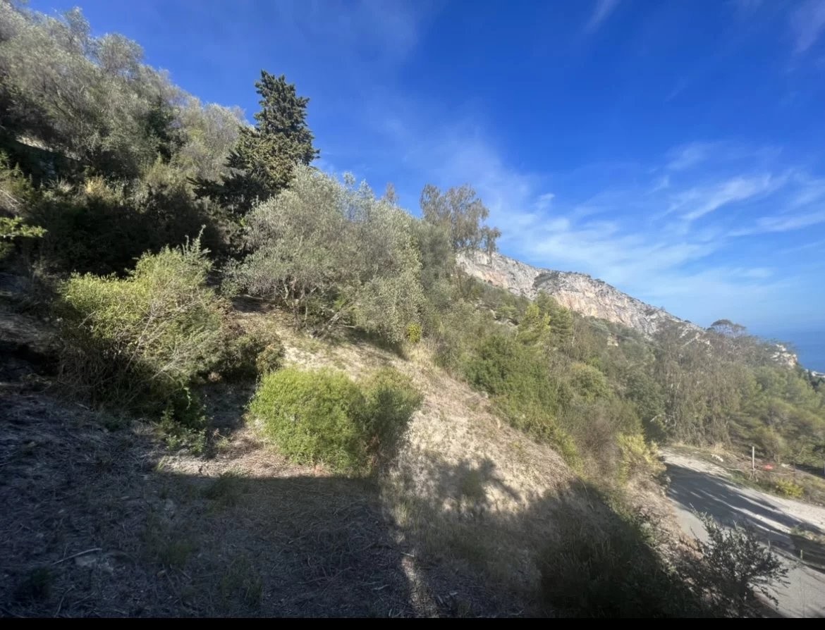 Vente Terrain à Menton 0 pièce