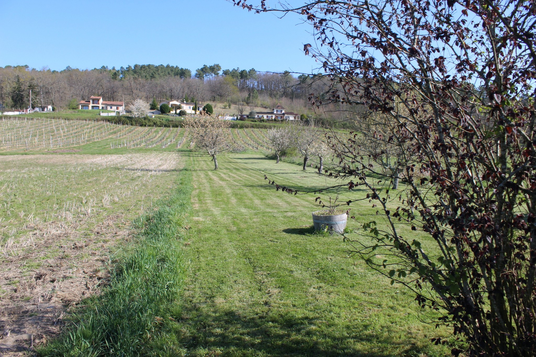 Vente Maison à le Fleix 9 pièces