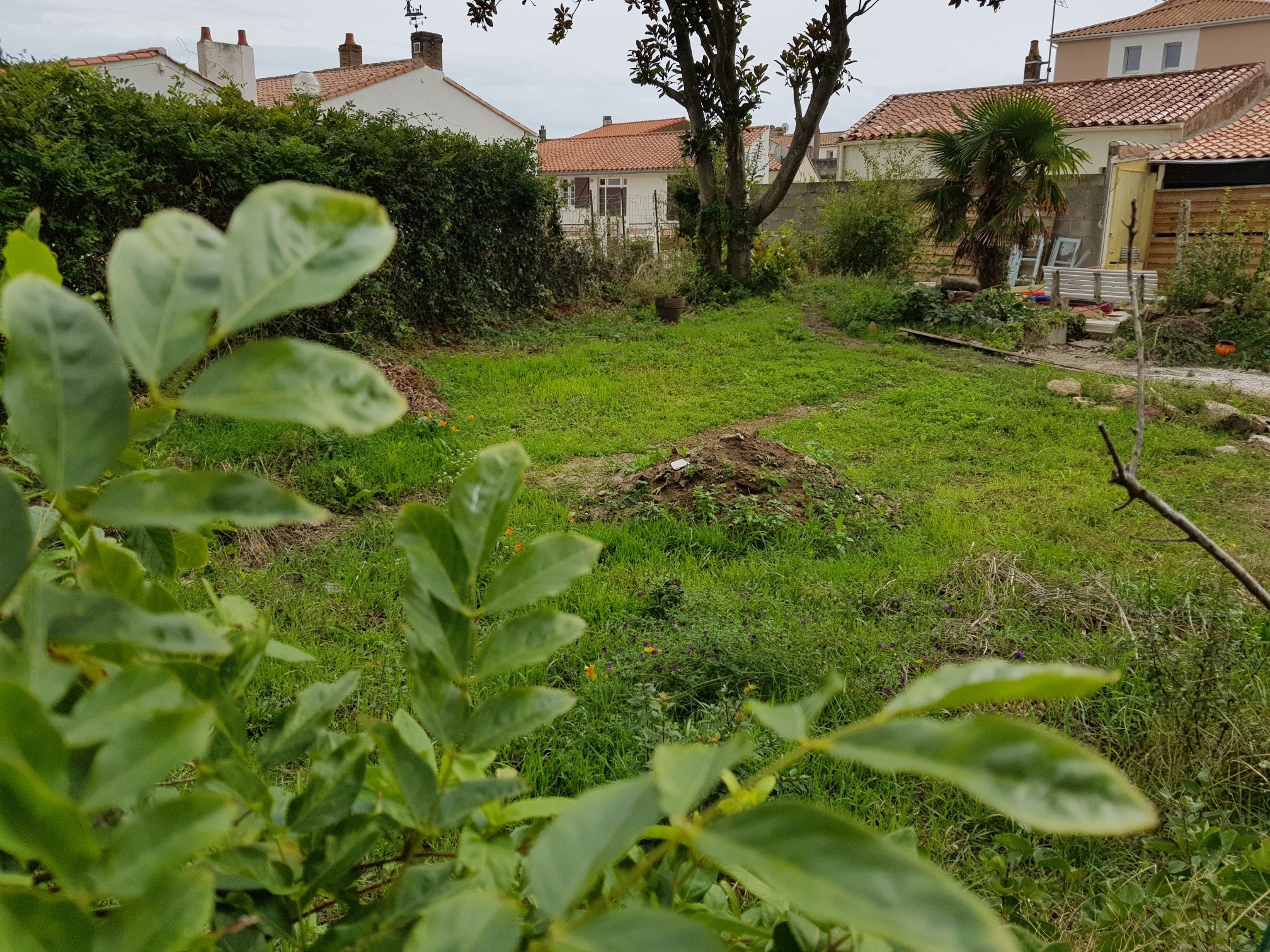 Vente Terrain à Château-d'Olonne 0 pièce