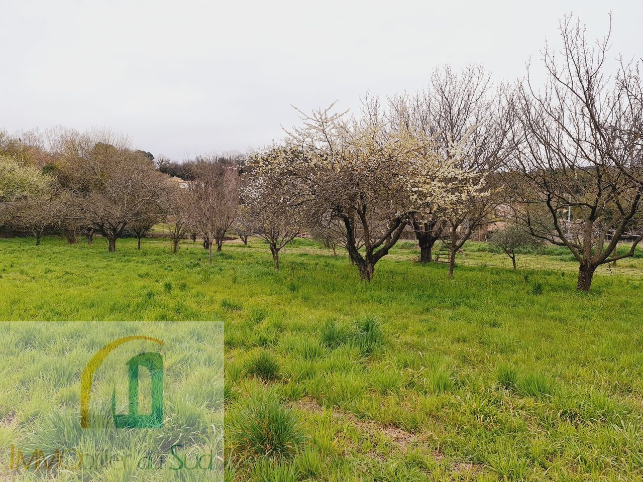 Vente Maison à Anduze 4 pièces