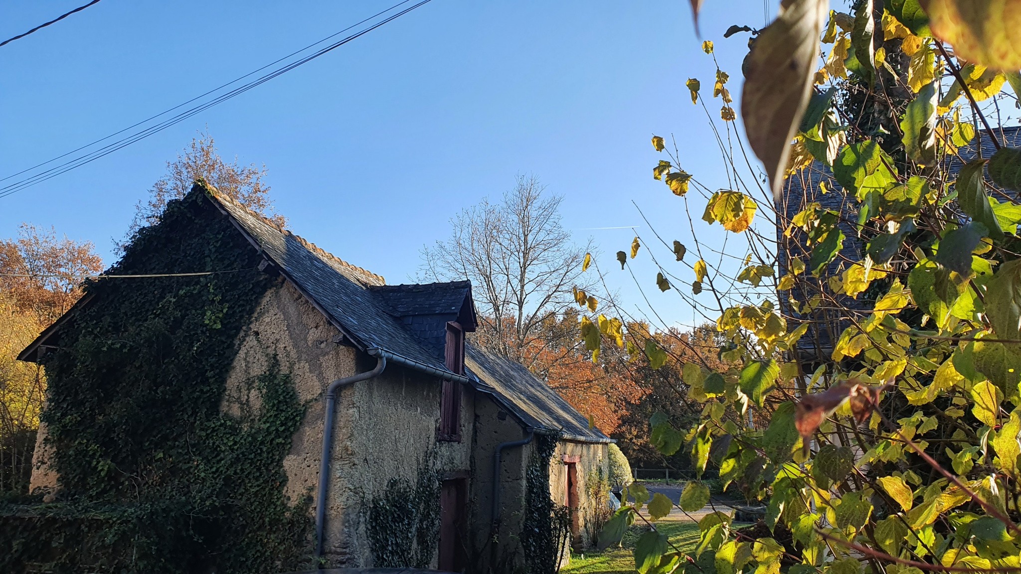 Vente Maison à Noyal-Châtillon-sur-Seiche 3 pièces