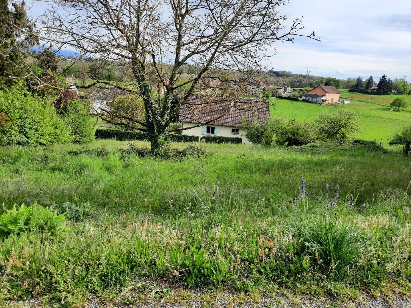 Vente Terrain à la Tour-du-Pin 0 pièce