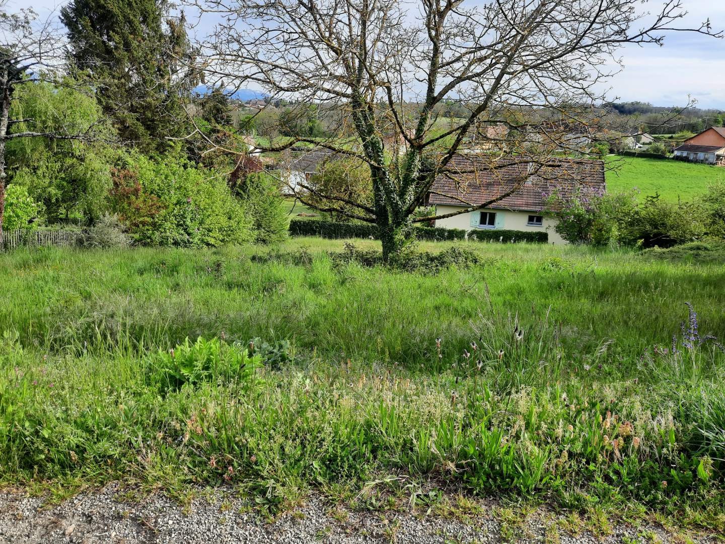 Vente Terrain à la Tour-du-Pin 0 pièce