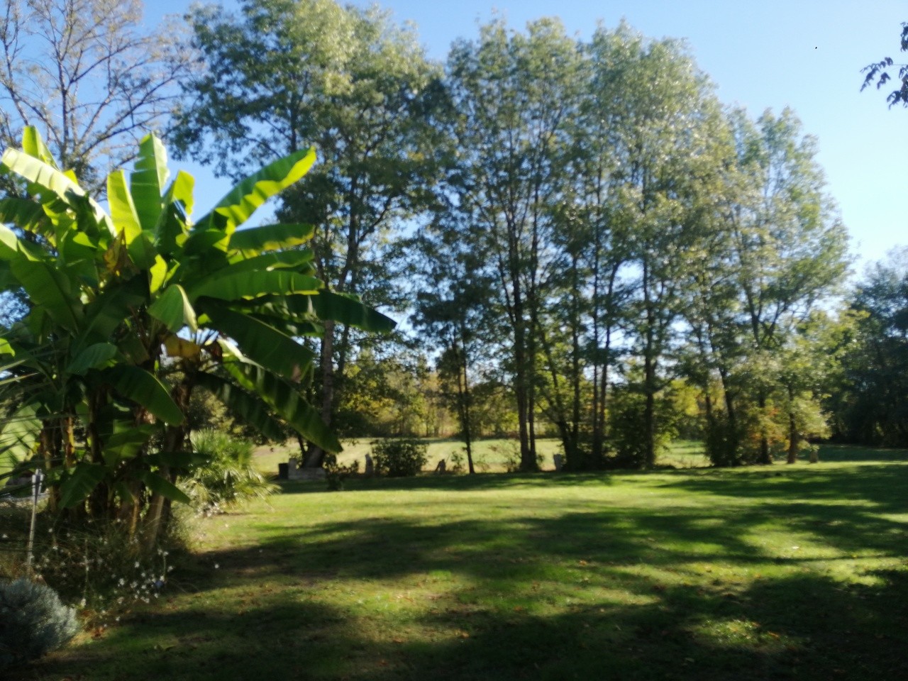 Vente Maison à Saint-André-de-Cubzac 8 pièces