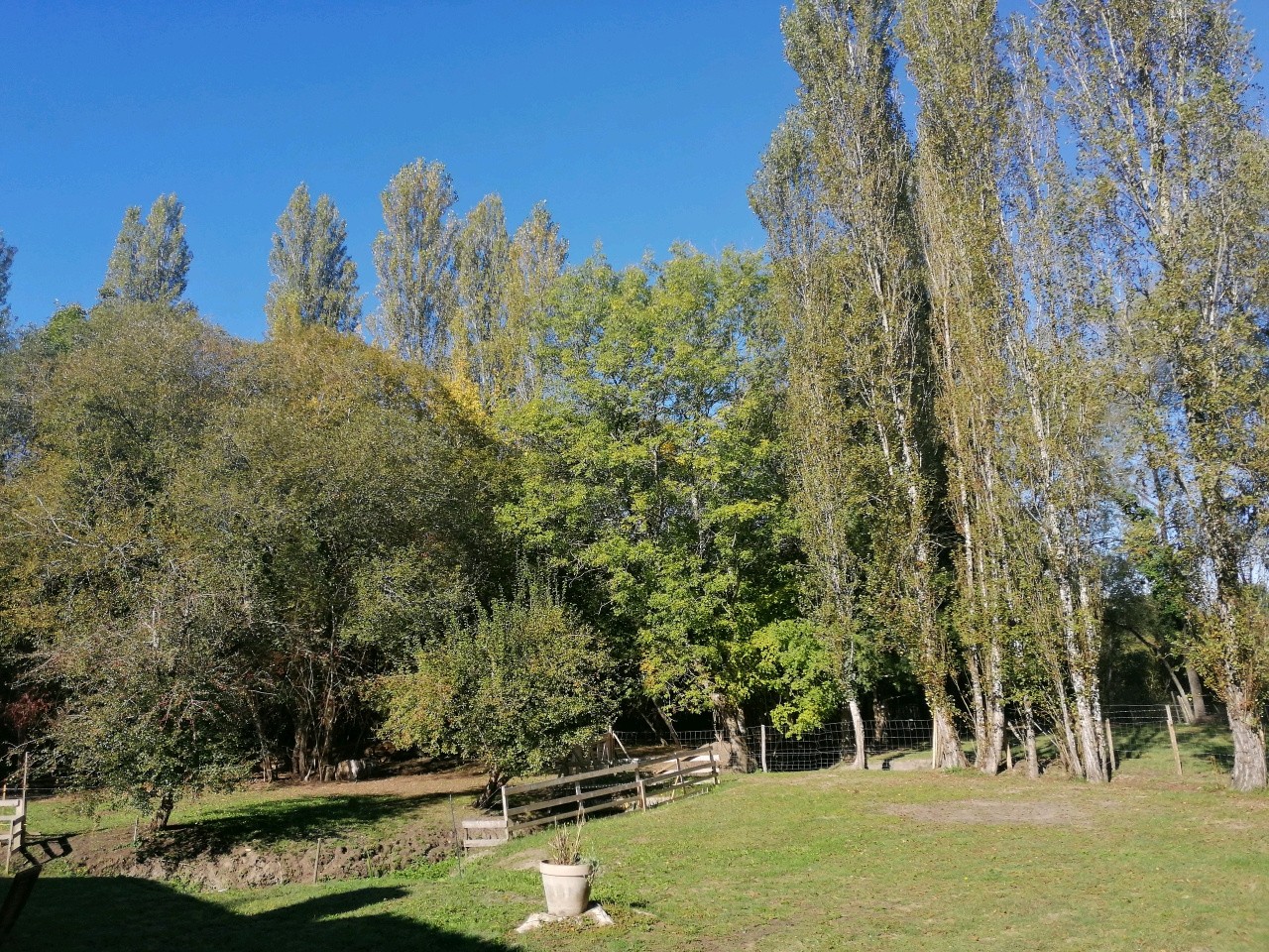 Vente Maison à Saint-André-de-Cubzac 8 pièces