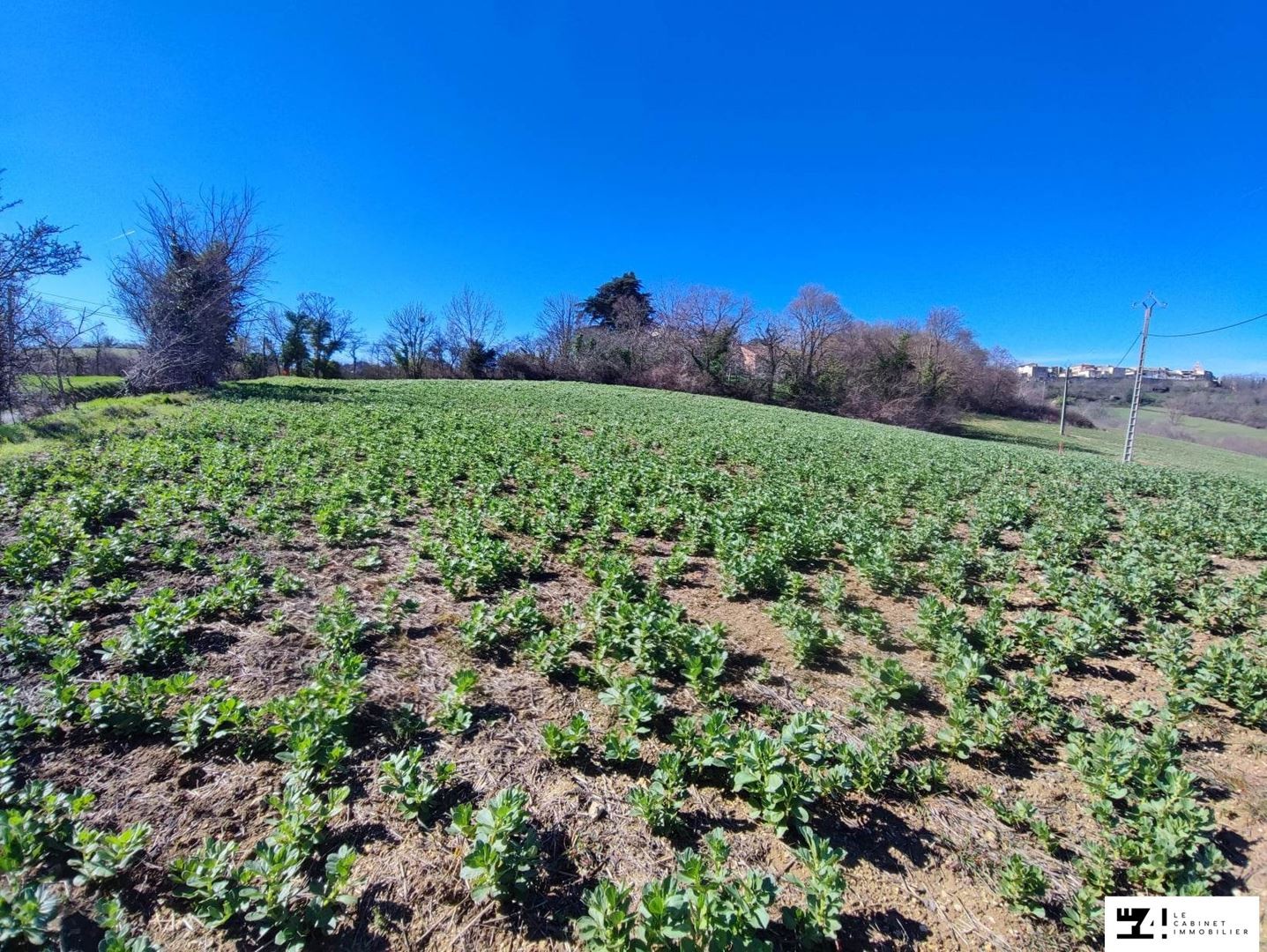 Vente Terrain à Carla-Bayle 0 pièce