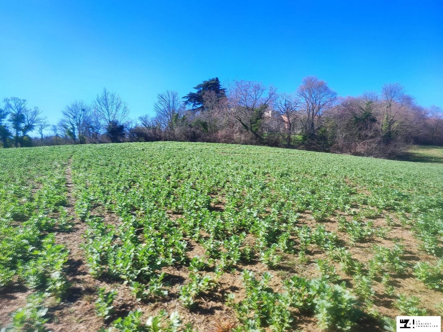 Vente Terrain à Carla-Bayle 0 pièce