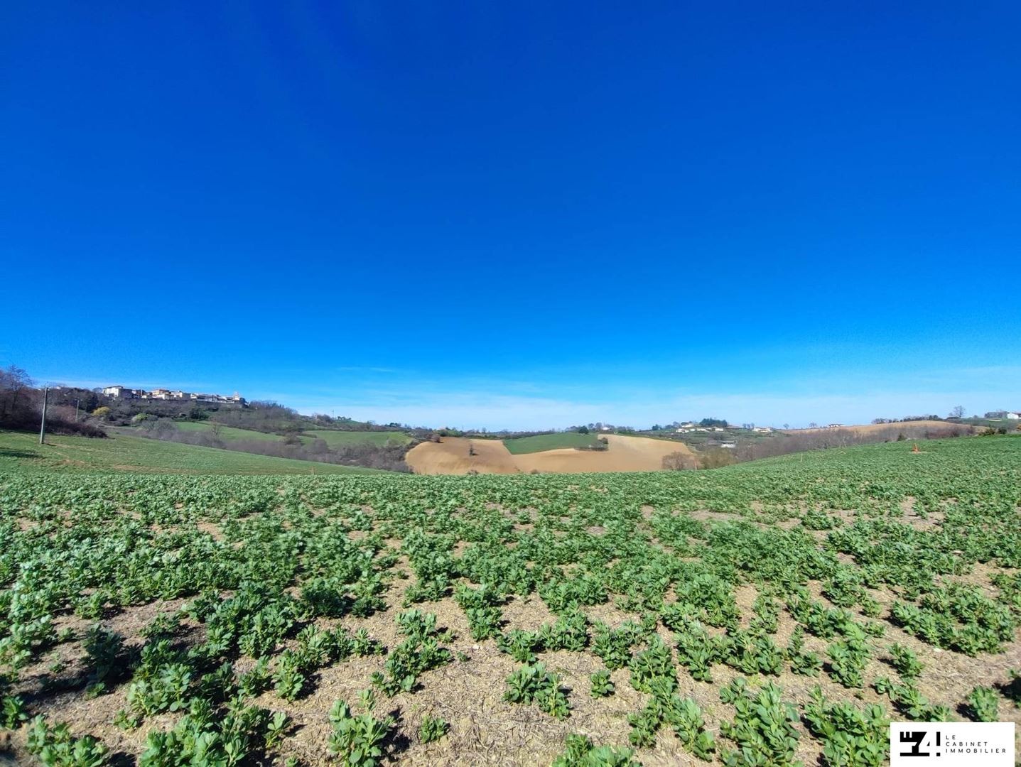 Vente Terrain à Carla-Bayle 0 pièce