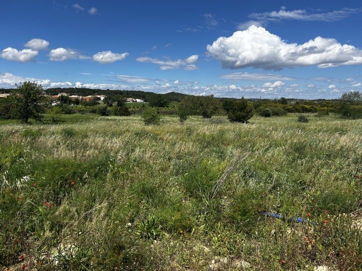 Vente Terrain à Lézignan-Corbières 0 pièce