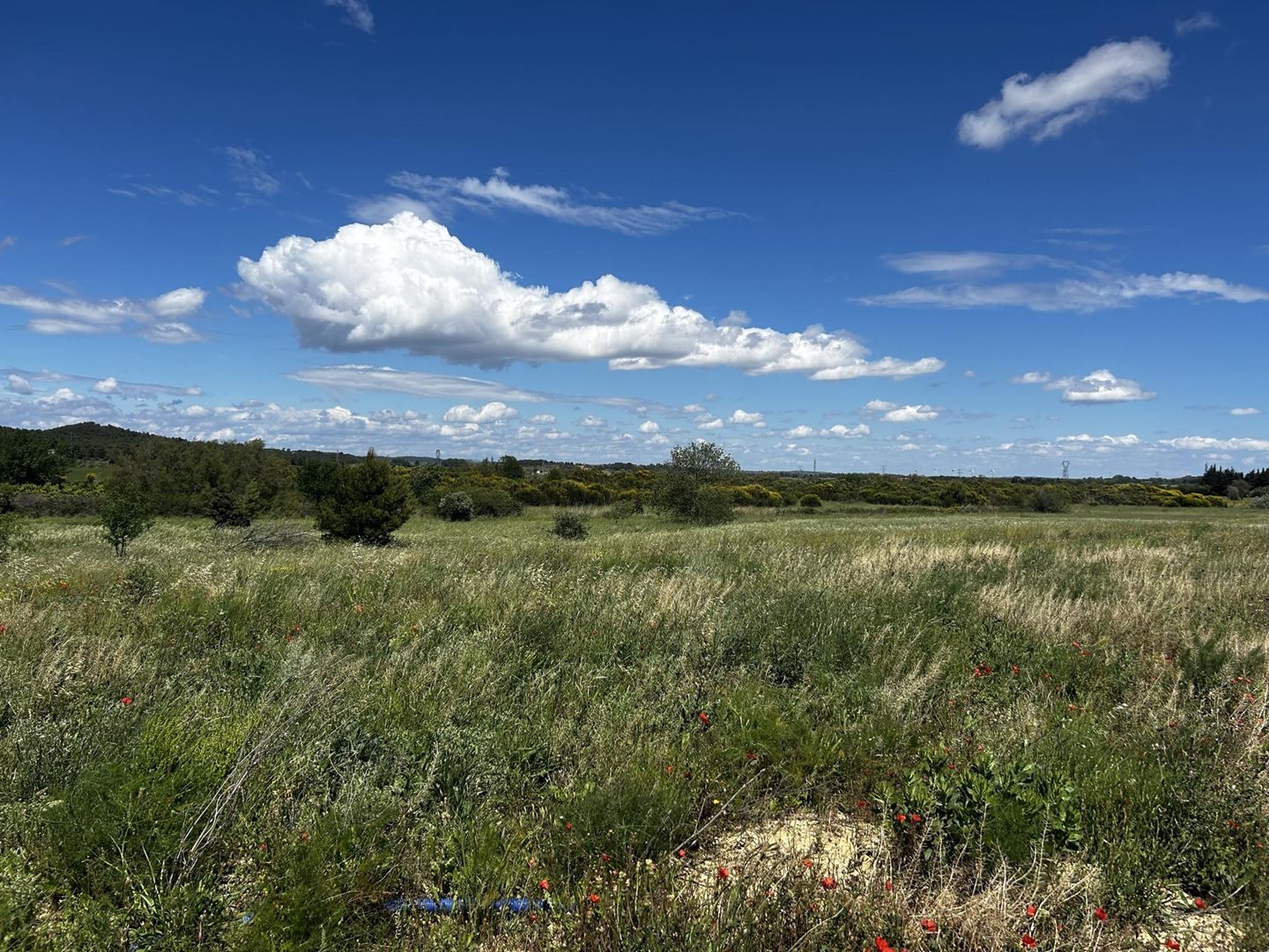 Vente Terrain à Lézignan-Corbières 0 pièce