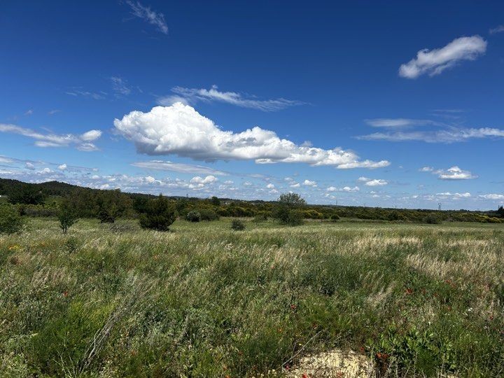 Vente Terrain à Lézignan-Corbières 0 pièce