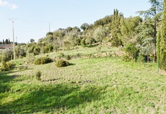 Vente Terrain à Pézenas 0 pièce