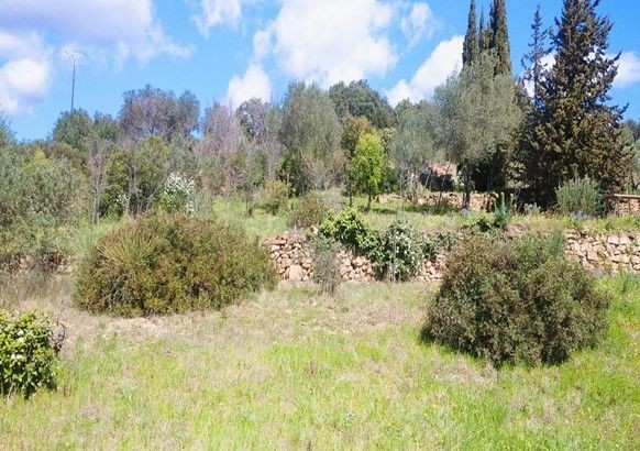 Vente Terrain à Pézenas 0 pièce