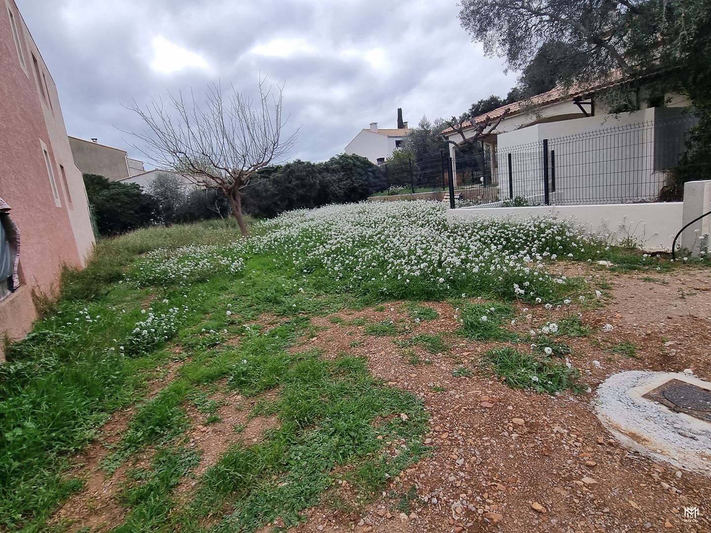 Vente Terrain à Frontignan 0 pièce