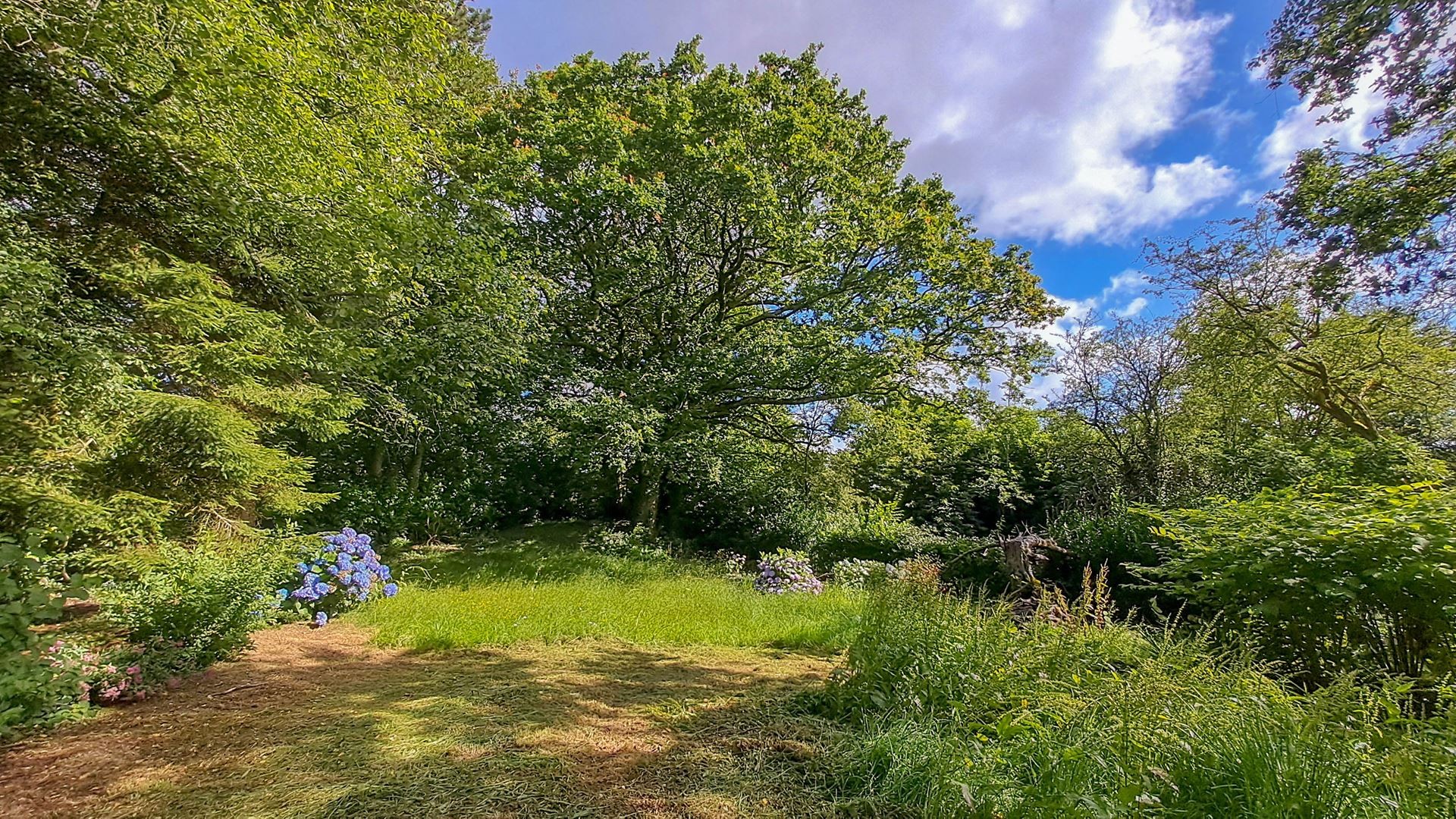 Vente Maison à Bannalec 6 pièces