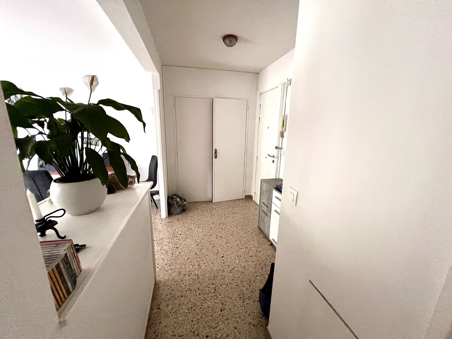 Viager Appartement à Nice 2 pièces