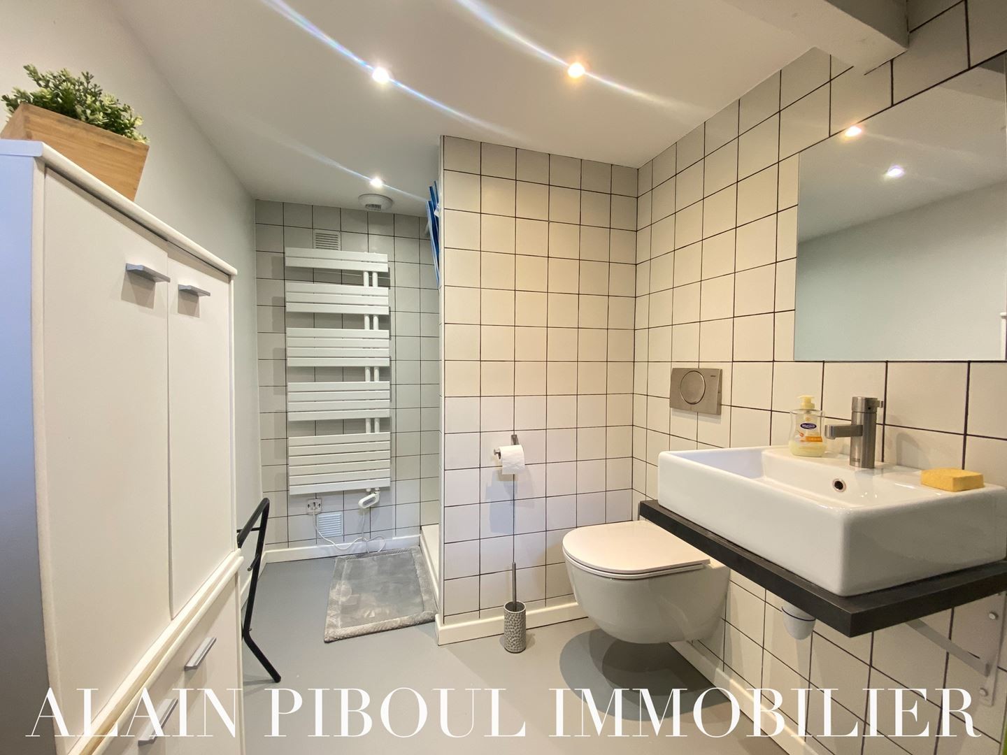 Location Appartement à Toulouse 3 pièces