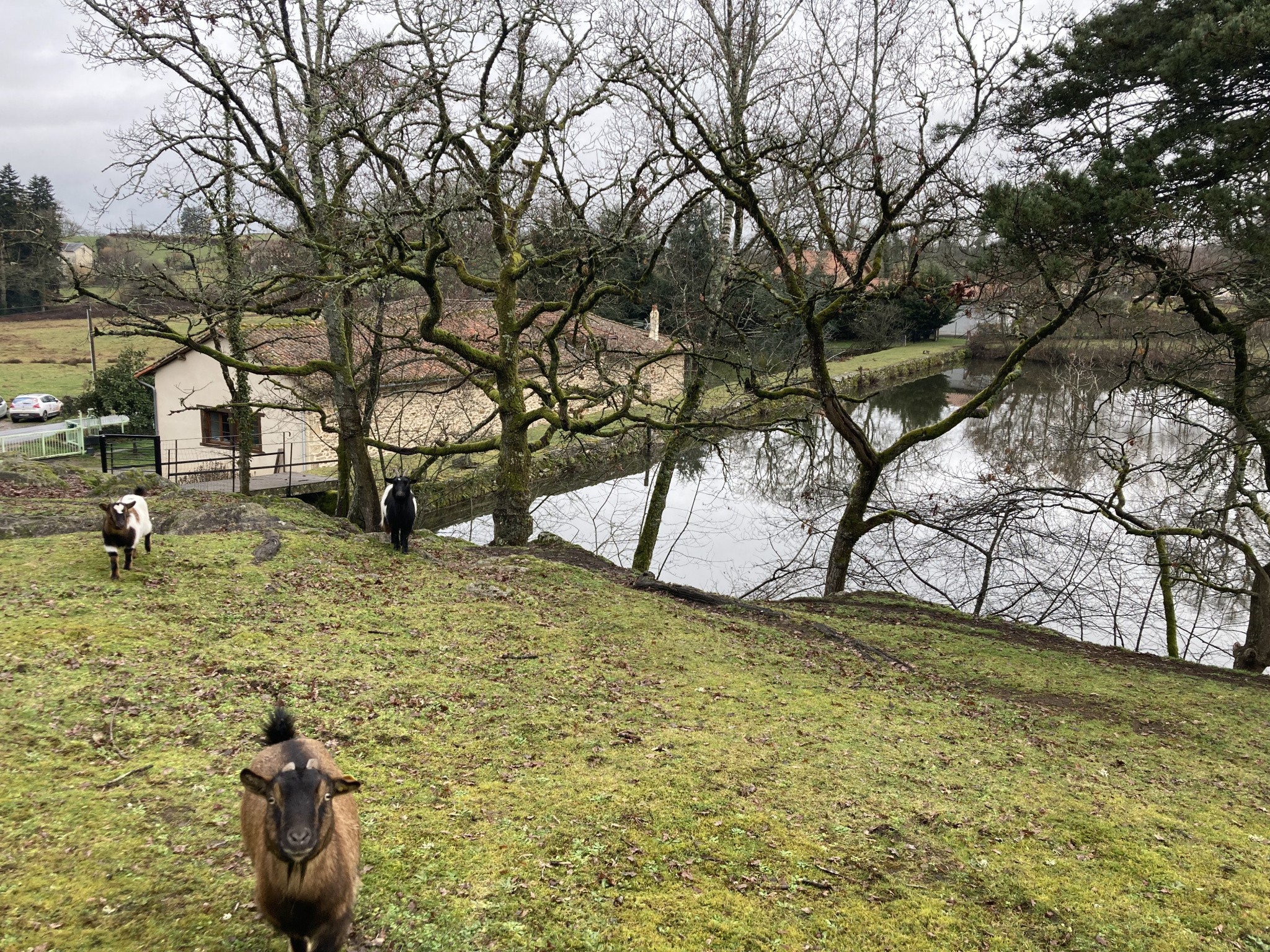 Vente Maison à Verneuil-sur-Vienne 13 pièces