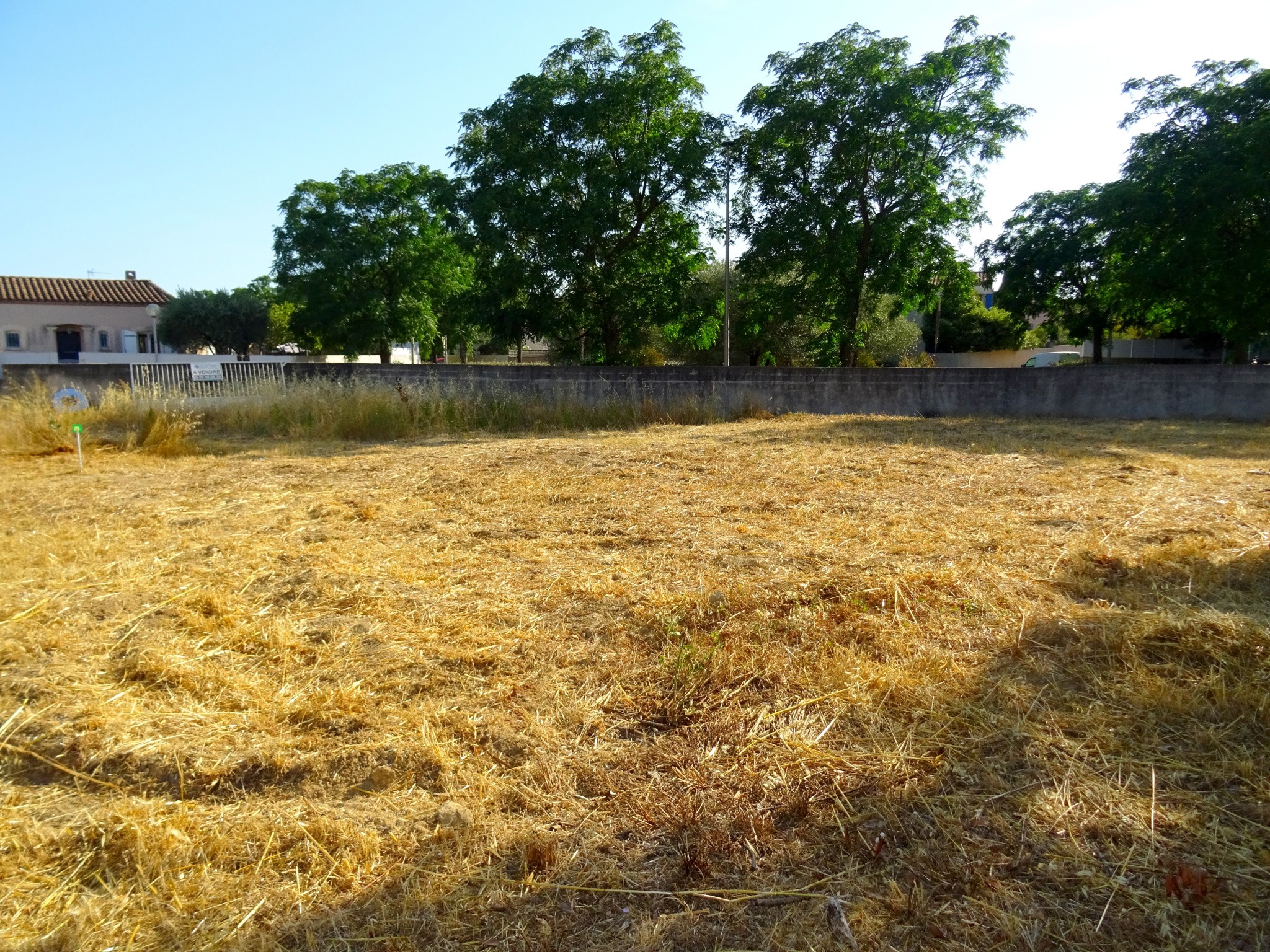 Vente Terrain à Castries 0 pièce