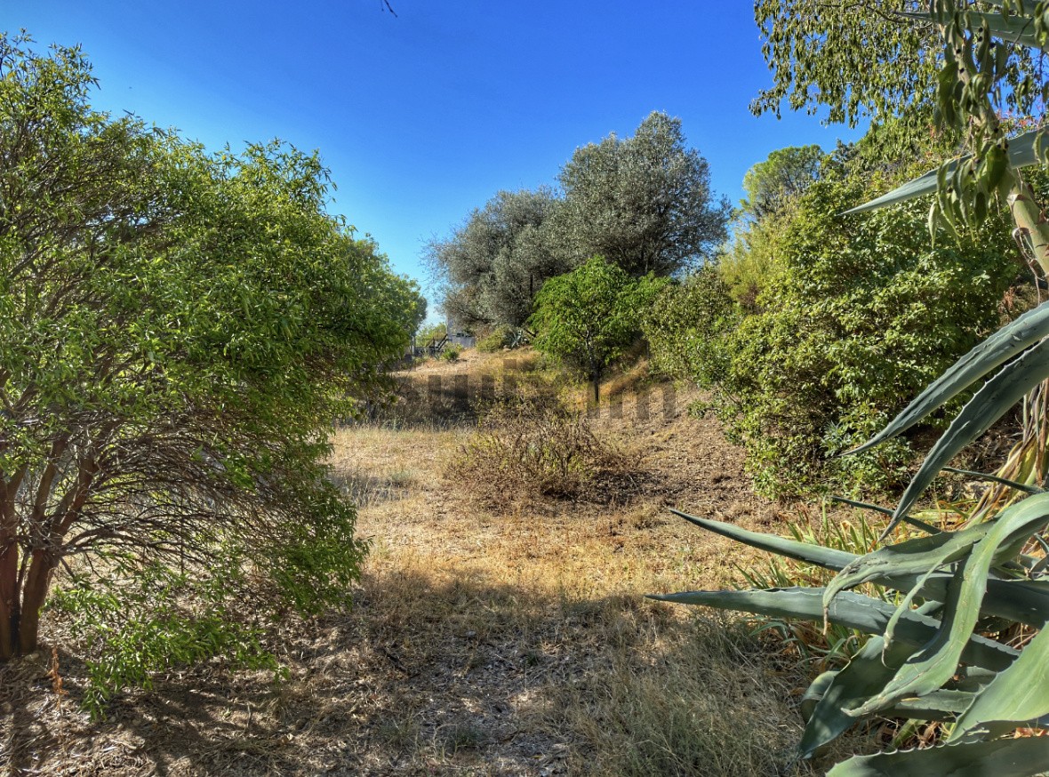 Vente Terrain à Uzès 0 pièce