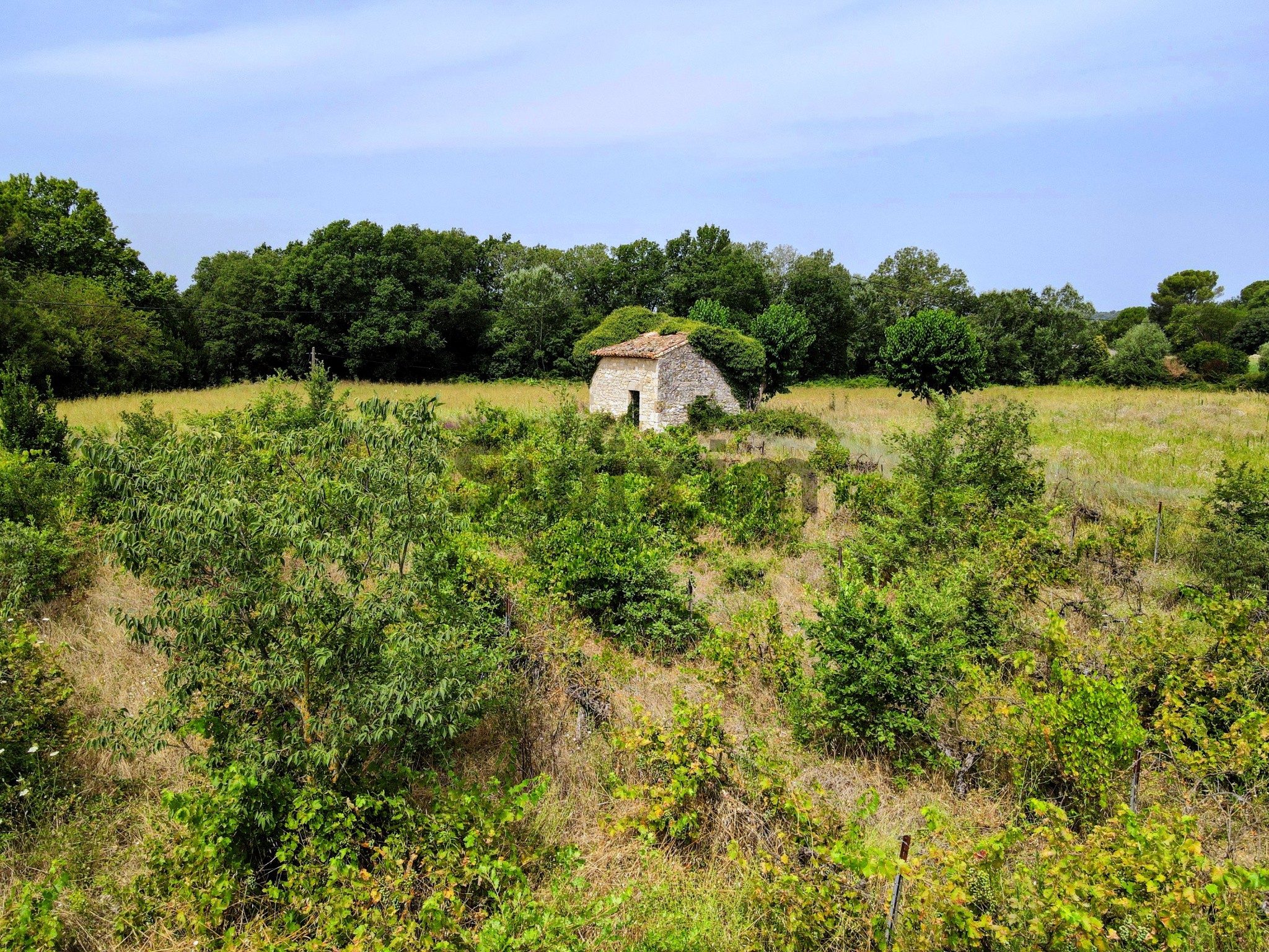 Vente Terrain à Uzès 0 pièce