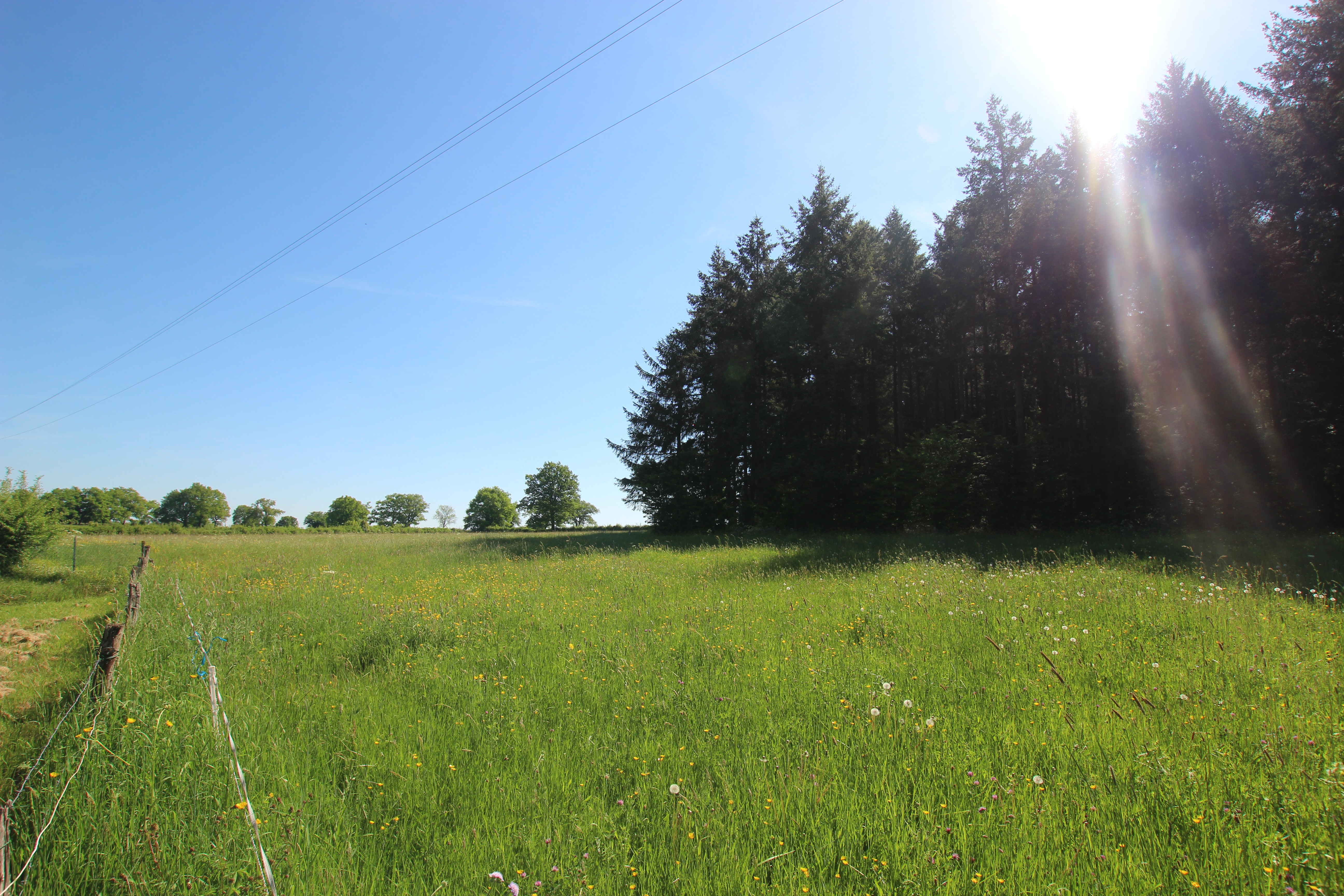 Vente Maison à Autun 8 pièces