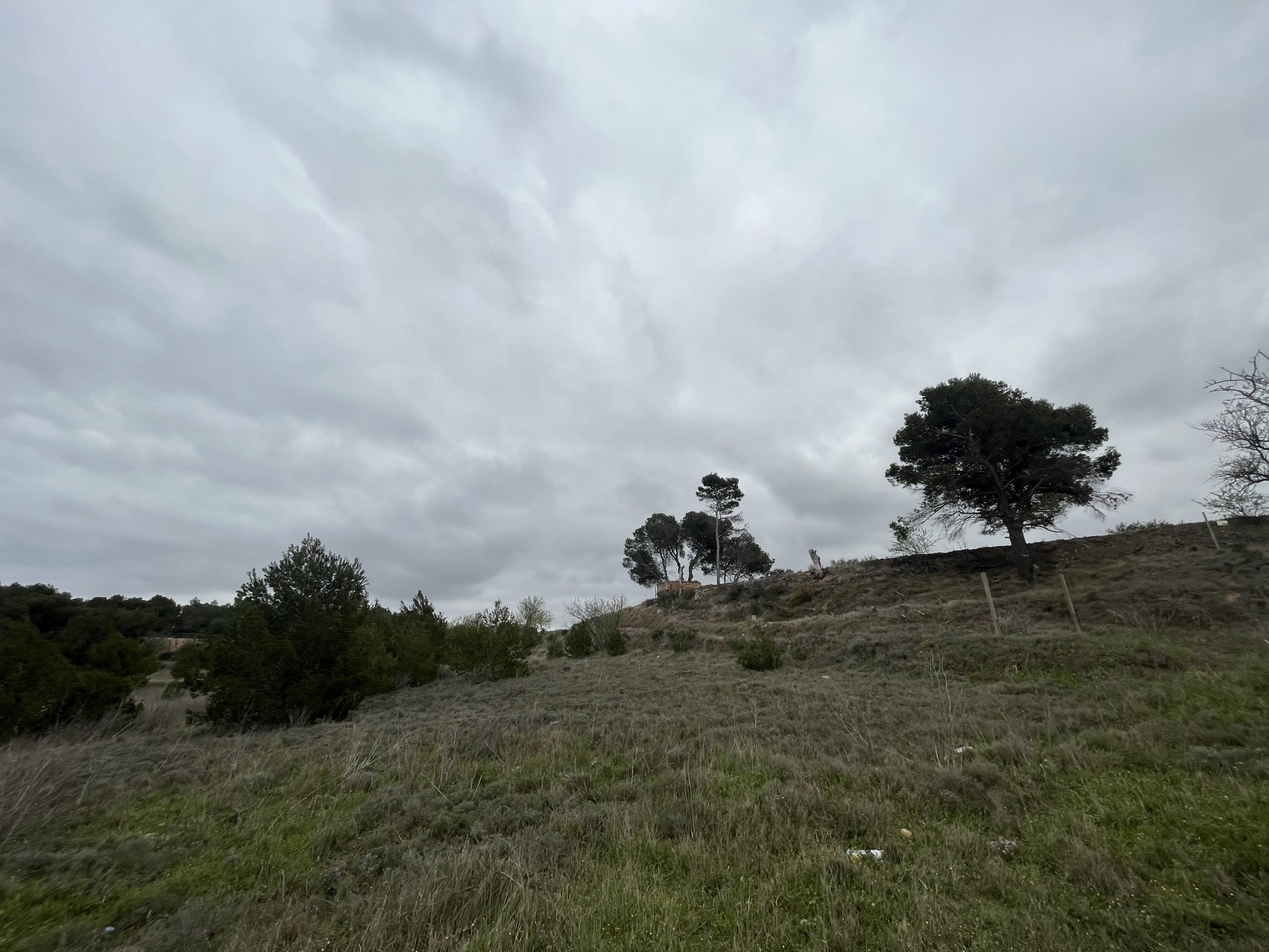 Vente Terrain à Lézignan-Corbières 0 pièce