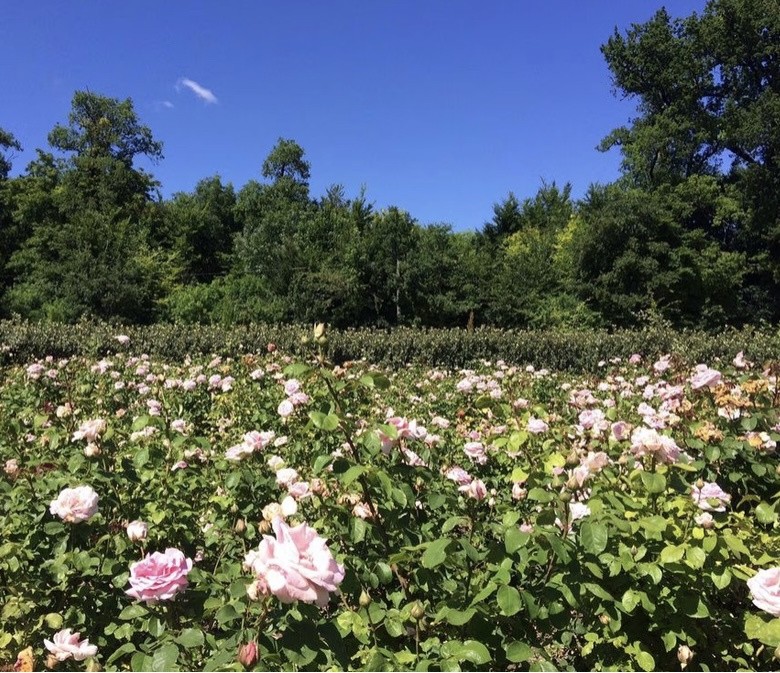 Vente Maison à Sorges 12 pièces