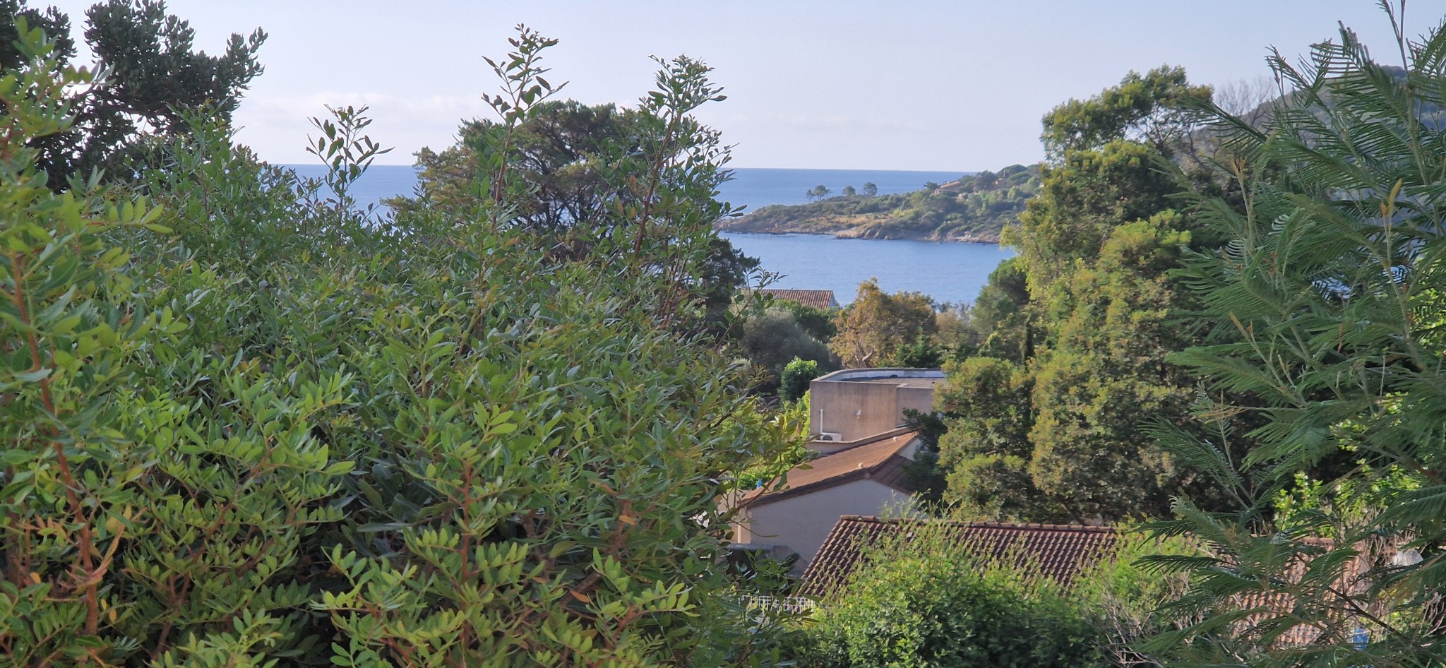 Vente Maison à Porto-Vecchio 3 pièces