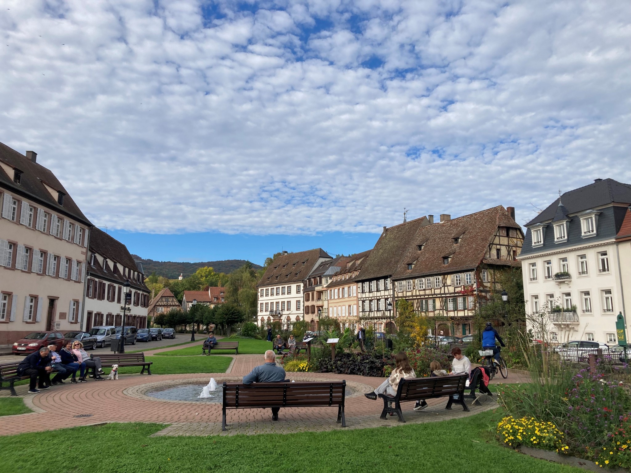 Location Bureau / Commerce à Wissembourg 0 pièce