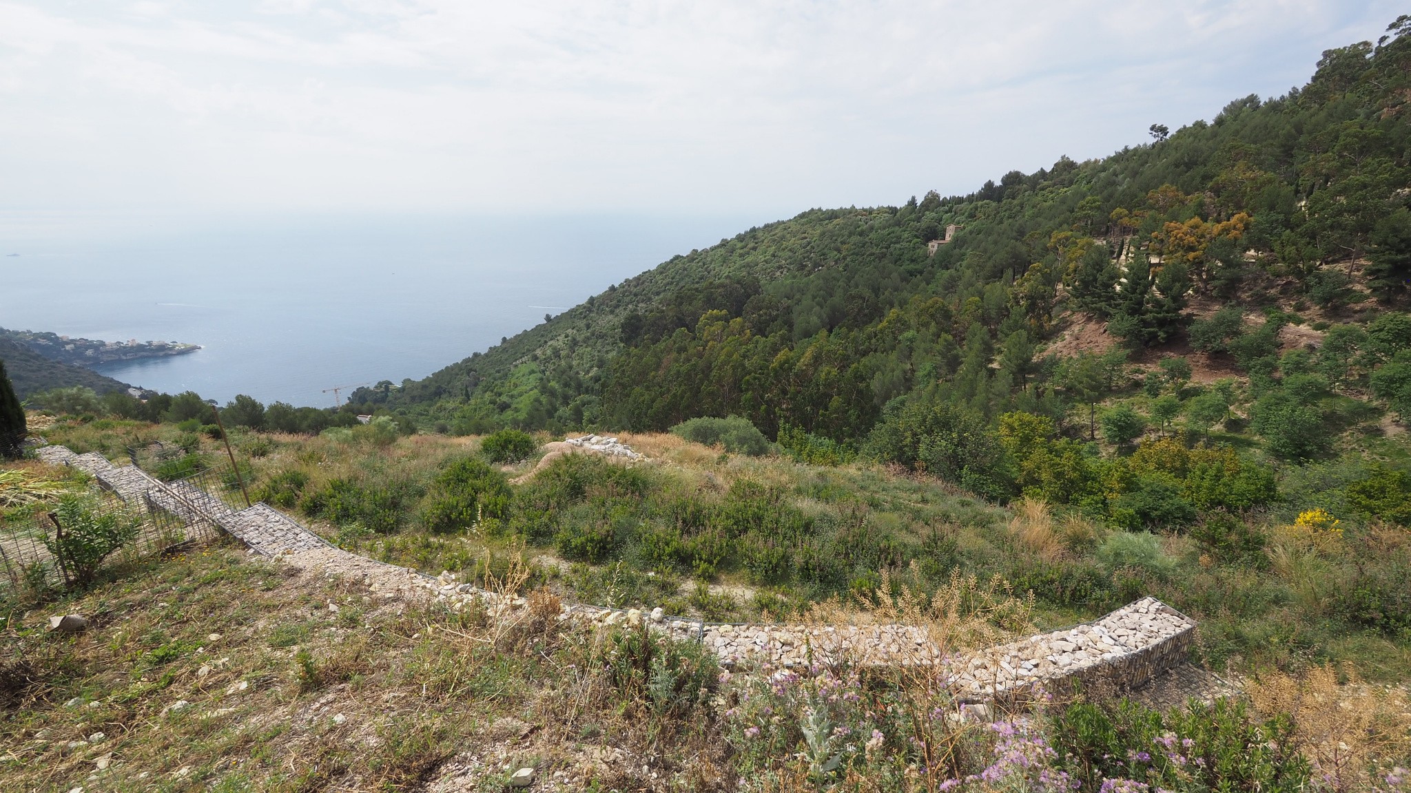 Vente Terrain à Èze 0 pièce