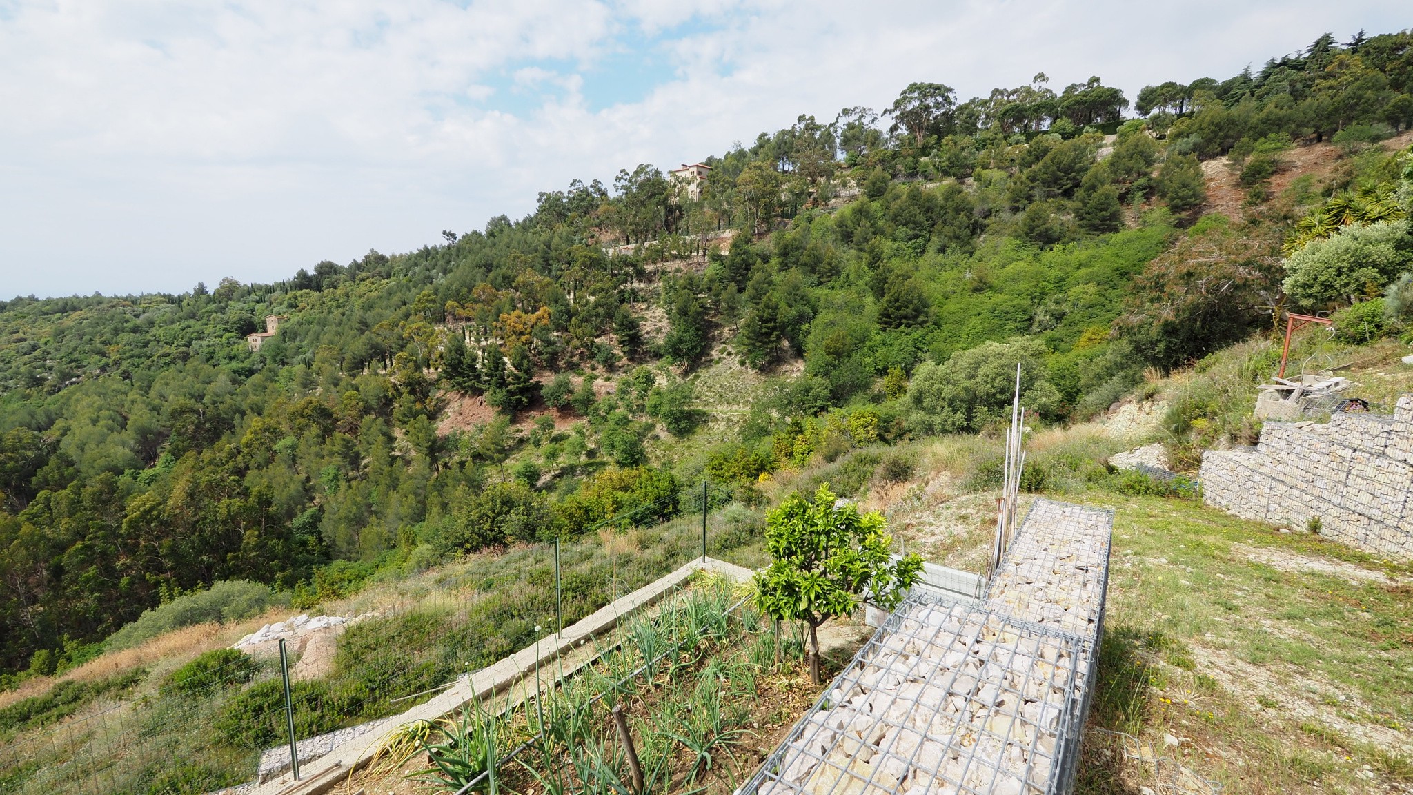 Vente Terrain à Èze 0 pièce