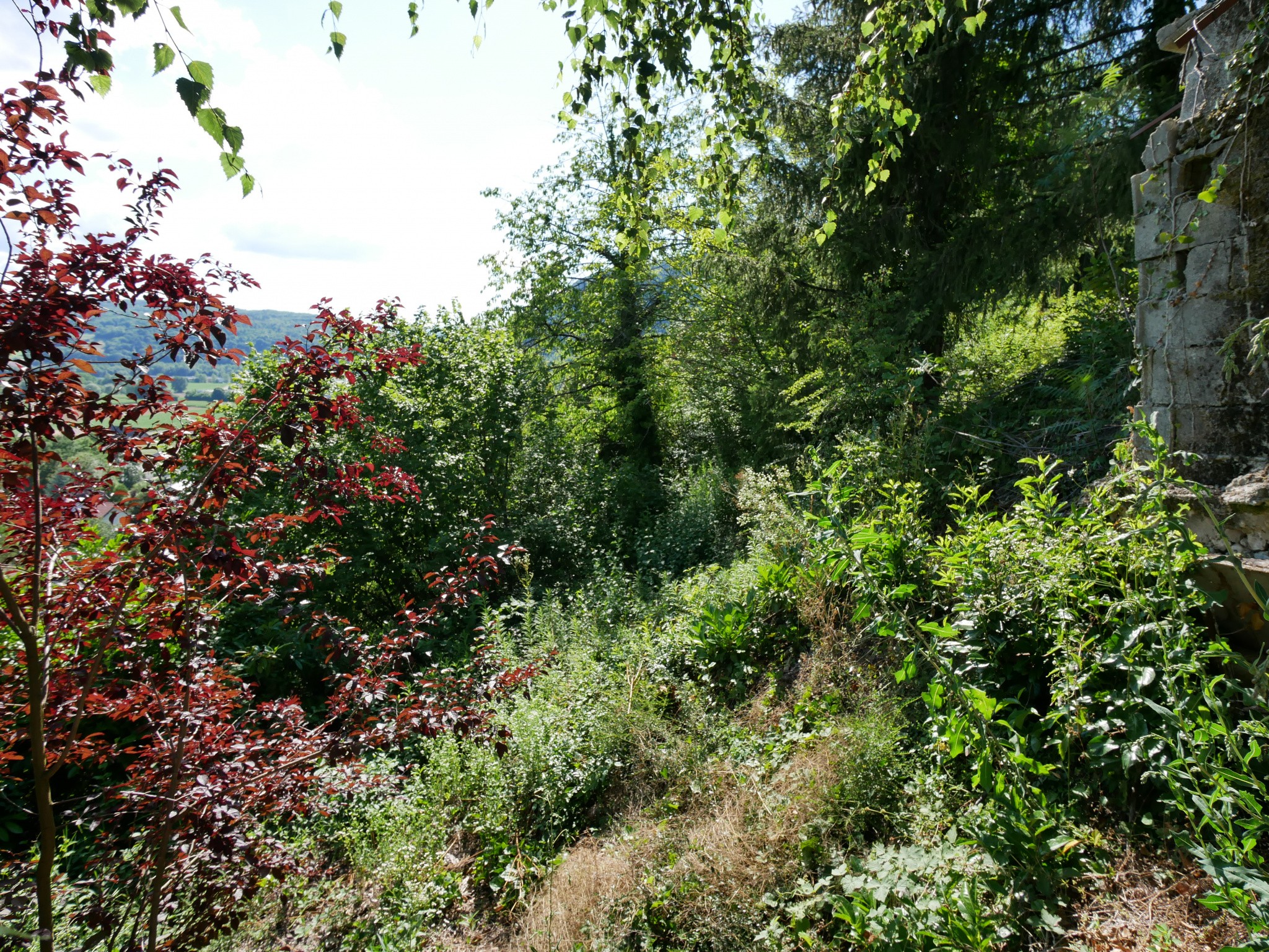 Vente Terrain à Épagny 0 pièce