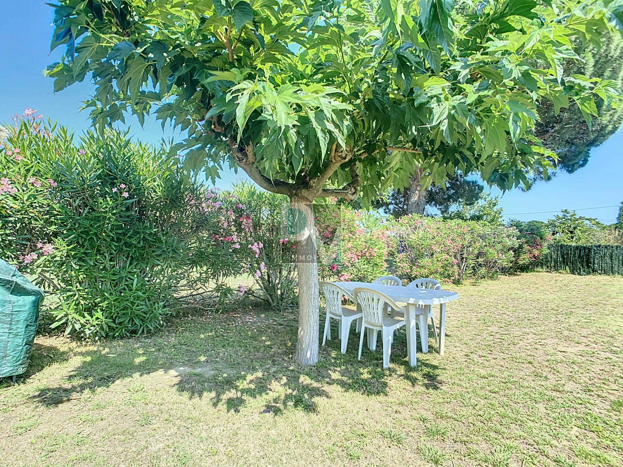 Vente Maison à Saint-Cyprien 3 pièces