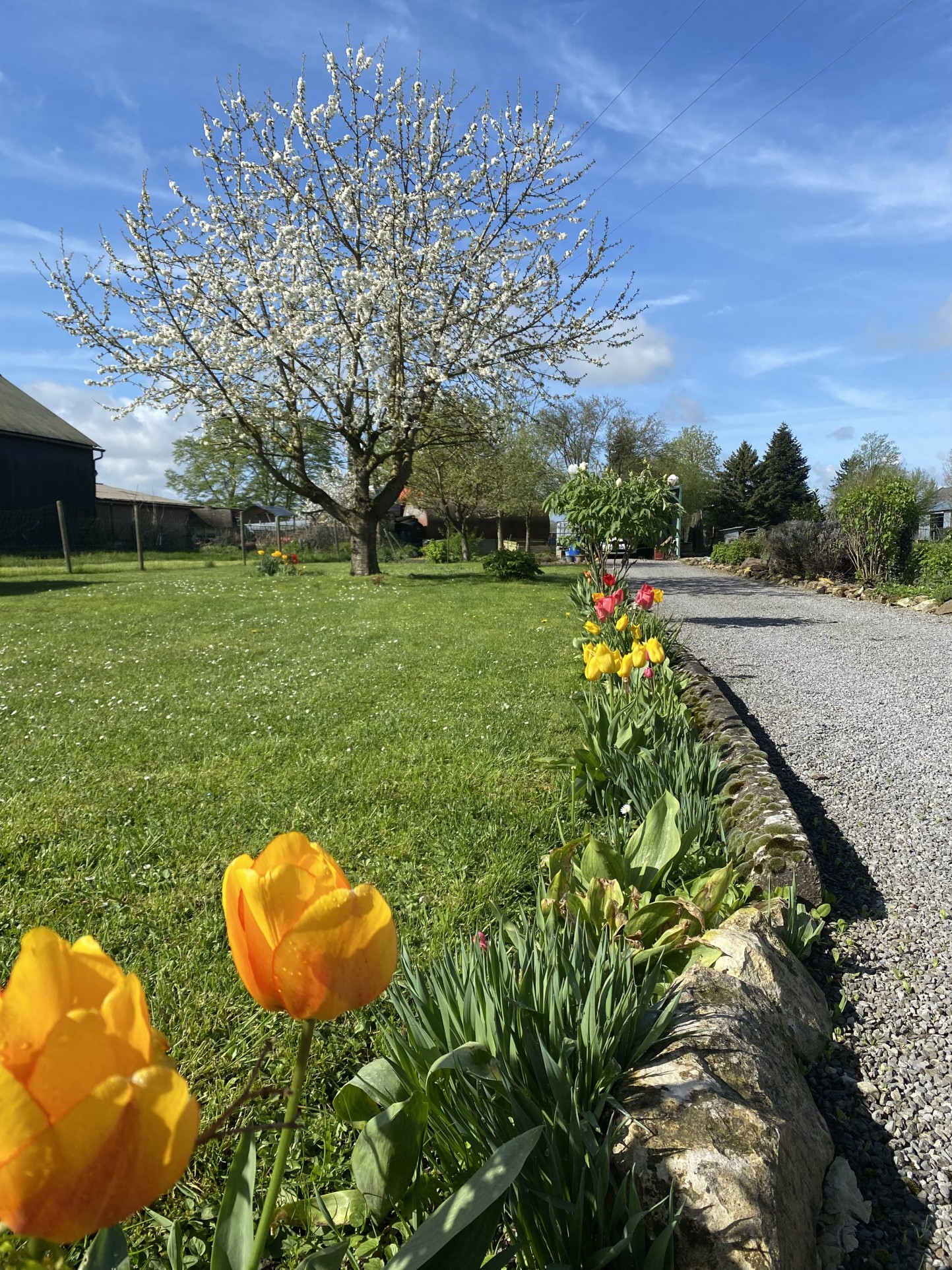 Vente Maison à Guise 6 pièces