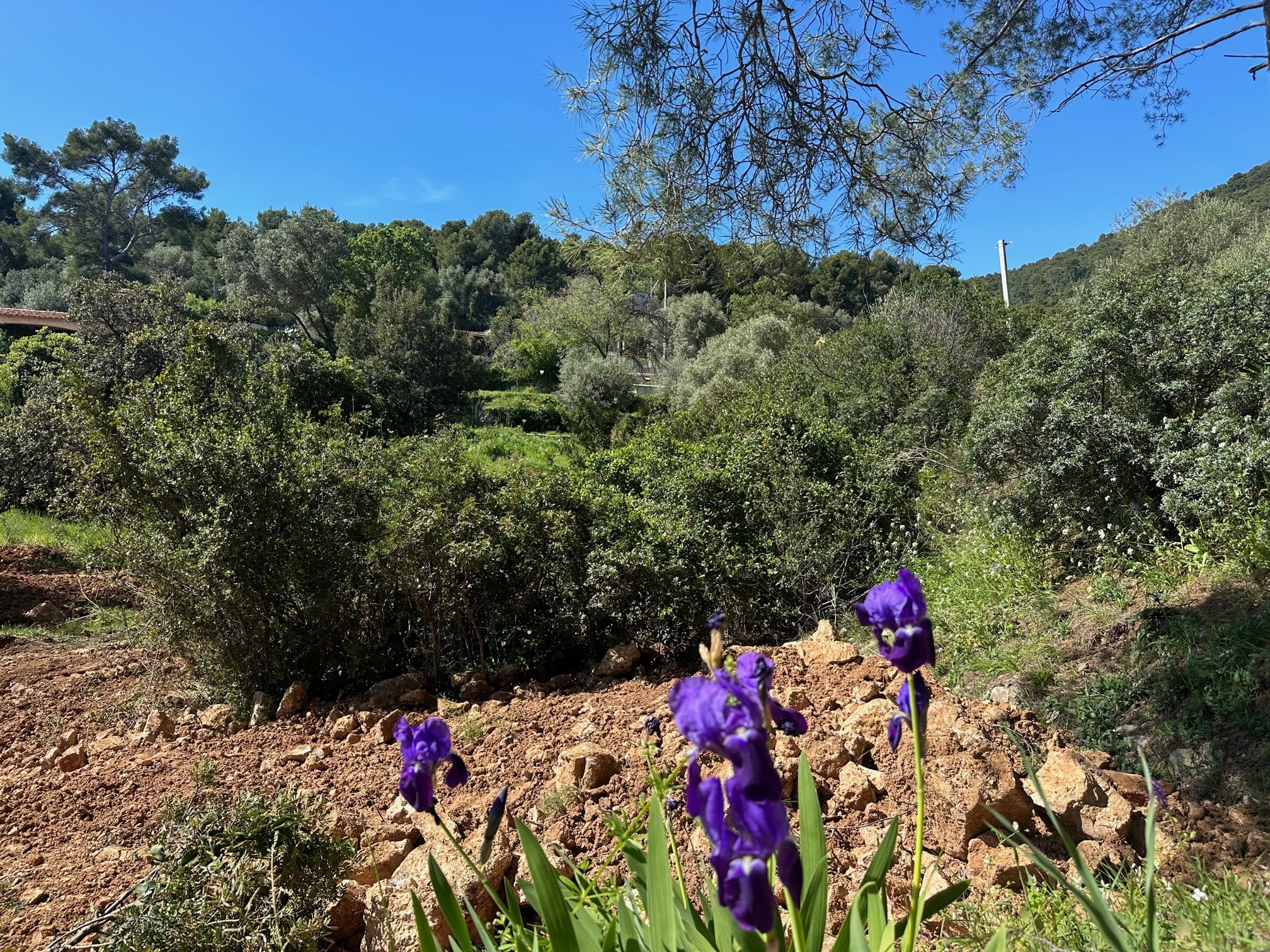 Vente Terrain à Ollioules 0 pièce