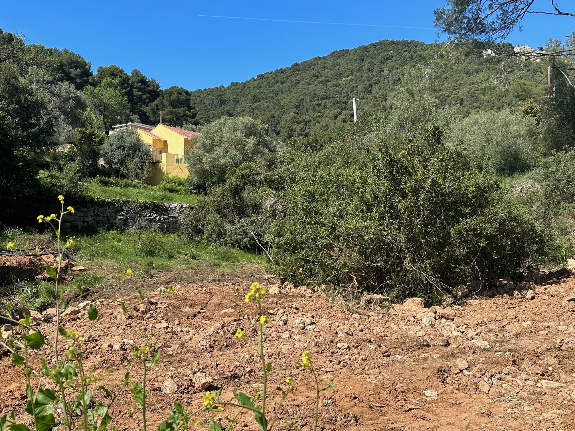 Vente Terrain à Ollioules 0 pièce