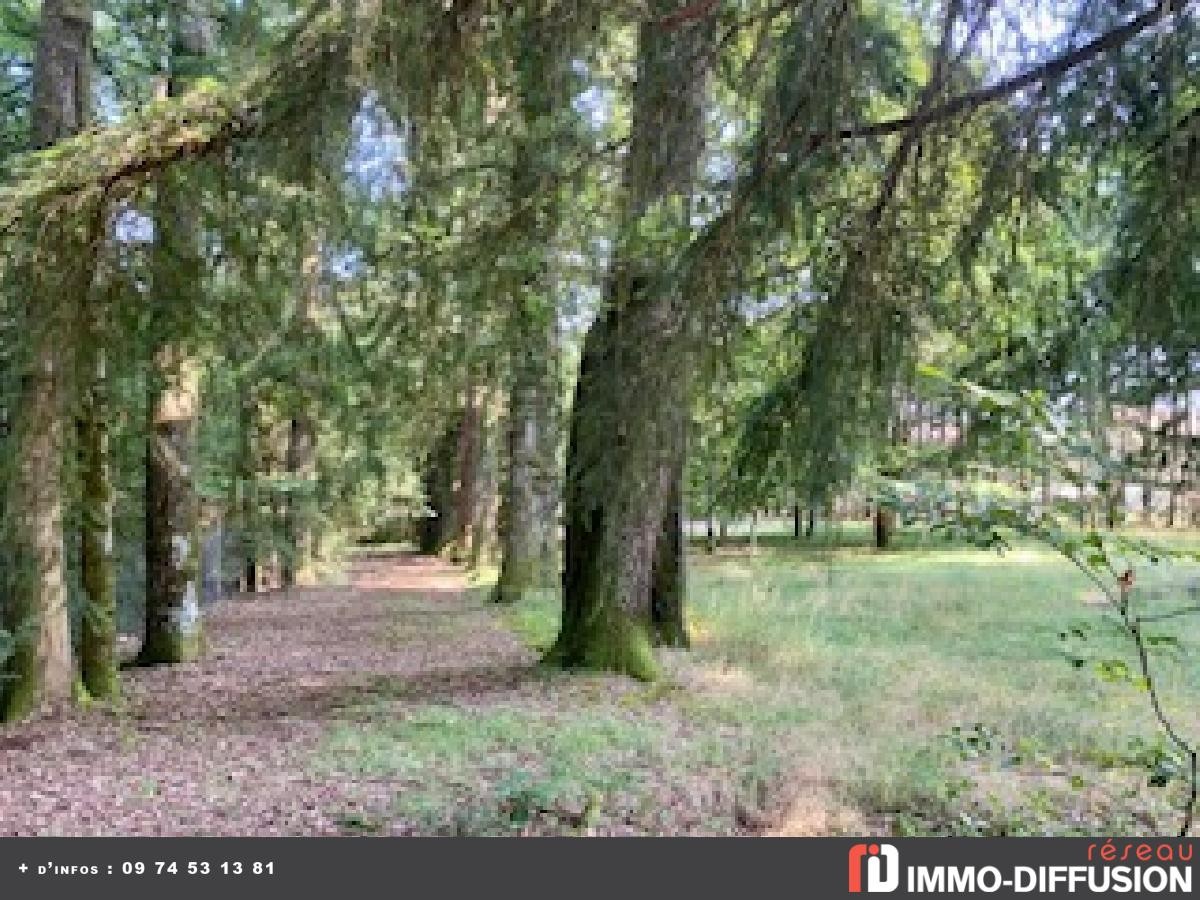 Vente Maison à Châteauneuf-la-Forêt 7 pièces