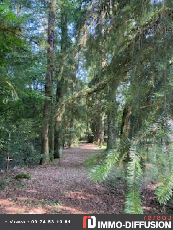 Vente Maison à Châteauneuf-la-Forêt 7 pièces