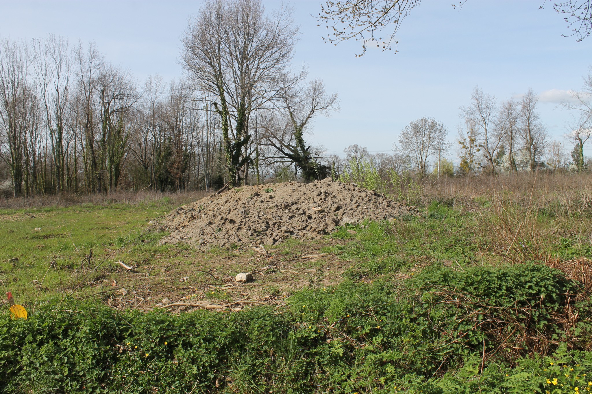 Vente Terrain à Saint-Étienne-de-Vicq 0 pièce