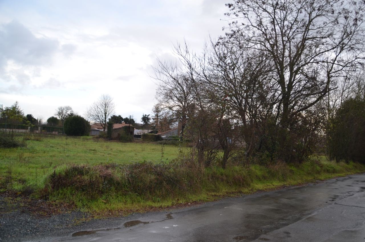 Vente Terrain à Sainte-Hermine 0 pièce